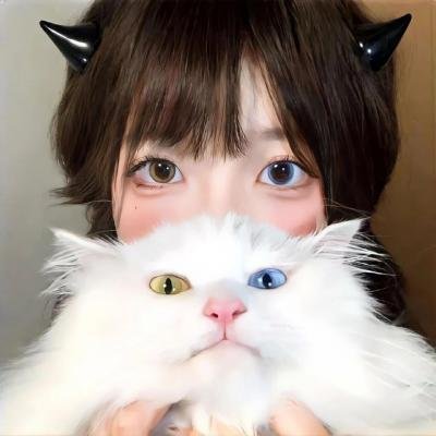 我的宝藏